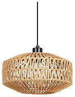 Подвесной светильник Arte Lamp BRUSHWOOD A7087SP-1BK 500_191_2454670
